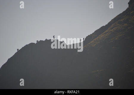 Sagome di camminatori arrampicata sul bordo di estensione sul percorso verso la Wainwright Helvellyn nel Parco Nazionale del Distretto dei Laghi, Cumbria, Inghilterra, Regno Unito. Foto Stock