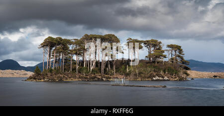 Il pine lake sul modo di Clifden su un inizio di estate nel pomeriggio Foto Stock