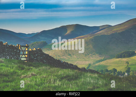 A SECCO tradizionale muro di pietra di laminazione Scottish Borders Campagna Foto Stock