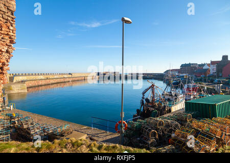 Una vista di Dunbar Harbor dal castello, East Lothian, Scozia Foto Stock