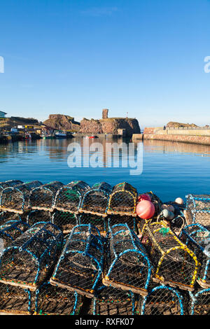 Dunbar porto e castello di Dunbar con aragosta cantre in primo piano. Sfondo. Dunbar, East Lothian, Scozia Foto Stock