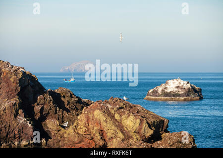 Guardando fuori dal porto di Dunbar al Bass Rock. Foto Stock