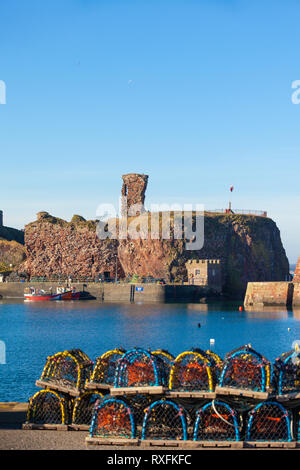 Dunbar porto e castello di Dunbar con aragosta cantre in primo piano. Sfondo. Dunbar, East Lothian, Scozia Foto Stock