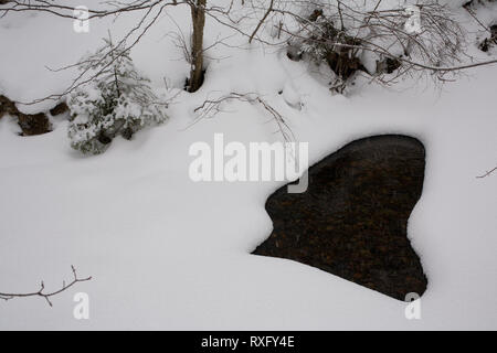 Sault Sainte Marie, Algoma District, Ontario, Canada Foto Stock