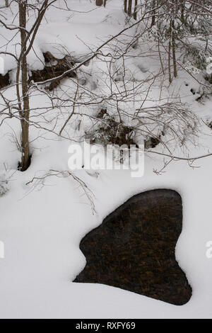 Sault Sainte Marie, Algoma District, Ontario, Canada Foto Stock