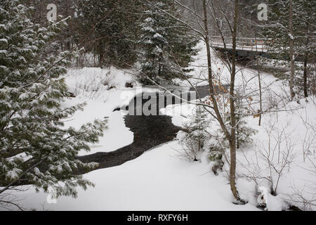 Sault Sainte Marie, Algoma District, Ontario, Canada Foto Stock