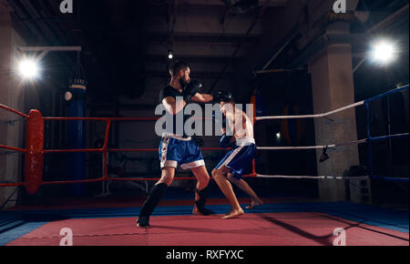 Due pugili sportivo formazione kickboxing nell'anello in corrispondenza del club salute Foto Stock