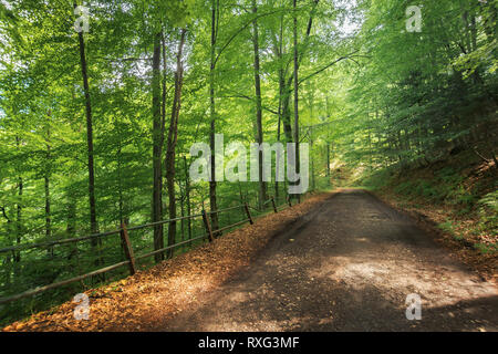 Vecchia strada di ghiaia attraverso il bosco di faggio in montagna. splendido scenario estivo. rotto recinzione metallica lungo il bordo di una collina Foto Stock