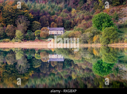 Riflessioni perfetta in Llyn Geirionydd, vicino Trefriw, Conwy County Borough, Snowdonia National Park, North Wales, Regno Unito Foto Stock