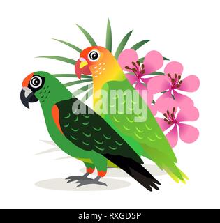 Due splendidi pappagalli colorati lovebird con fiori di colore rosa isolato su sfondo bianco, uccelli esotici, vettore Illustrazione Vettoriale