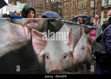 Diritti degli animali gruppi prendere parte nel mese di marzo. Convocata dalle organizzazioni della società civile e delle ONG, migliaia di persone hanno manifestato oggi a Amsterdam per esigere che i governi agiscono in modo decisivo a fronte della sempre più imminente pericolo rappresentato dal cambiamento climatico. Foto Stock