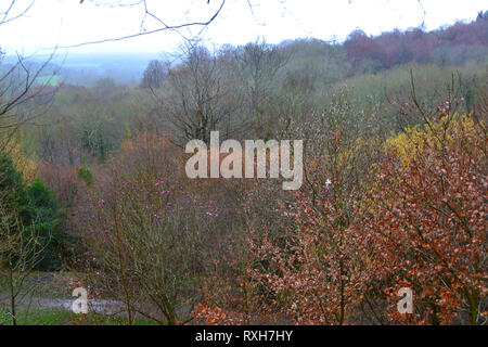 Una vista sud attraverso Scord il legno, Ide Hill, Kent, preso dal giardino Emmetts agli inizi di marzo 2019 Foto Stock