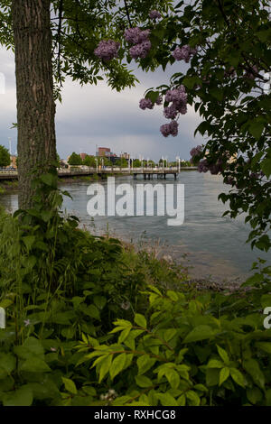 Sault Sainte Marie, Algoma District, Ontario, Canada Foto Stock