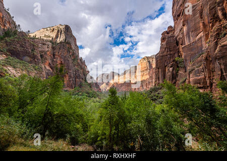 Parco Nazionale di Zion, Utah Foto Stock