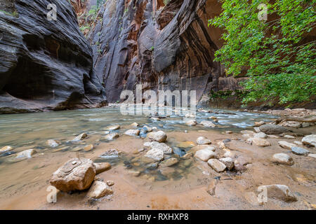 Parco Nazionale di Zion, Utah Foto Stock