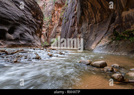 Parco Nazionale di Zion, Utah Foto Stock