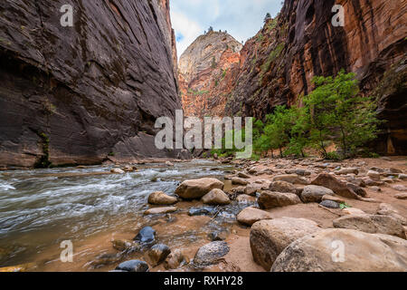 Parco Nazionale di Zion, Utah Foto Stock