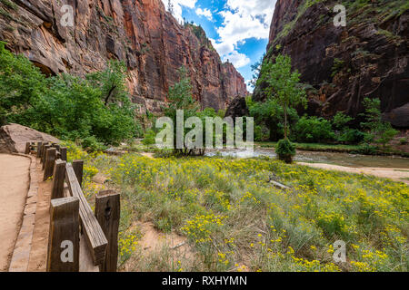 Parco Nazionale di Zion, Utah Foto Stock