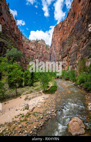 Parco Nazionale di Zion, Utah Foto Stock