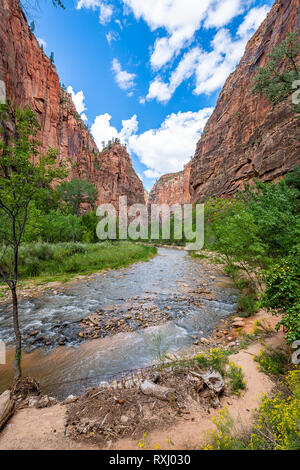 Parco Nazionale di Zion, Utah Foto Stock