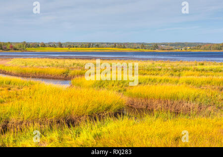 Costa est Linden, Sunrise Trail, Nova Scotia, Canada Foto Stock