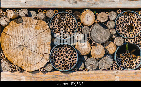 Pile di tronchi di legno tagliati in diversi formati Foto Stock