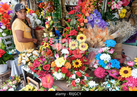 Cartagena Colombia,Centro,la Matuna,ispanica Latino etnia immigrati minoritari,residenti,adulti adulti donne fema Foto Stock