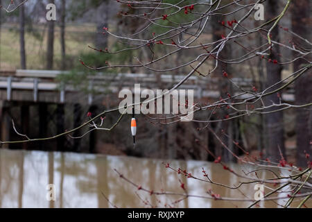 Un fisherman's bobber o flottazione snagged in un albero da un laghetto. Foto Stock