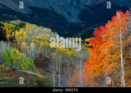 Ultimo Dollaro Road, Ridgway, Colorado, STATI UNITI D'AMERICA Foto Stock