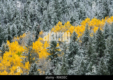 Da qualche parte nel centro Colordao, STATI UNITI D'AMERICA Foto Stock