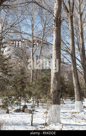 Palazzo del Potala, una volta a casa per il Dalai Lama, sul pendio di una collina a Lhasa, in Tibet, durante l'inverno. Foto Stock