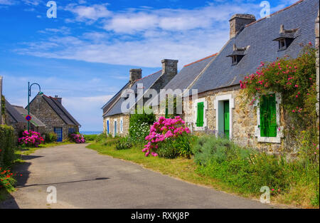 Tipica casa vecchia e fiore di ortensie in Bretagna, Francia Foto Stock