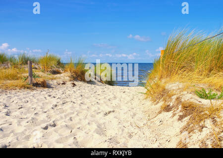 Poel spiaggia presso la boccola nera sull'isola di Poel in Germania Foto Stock