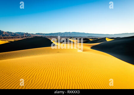 Mesquite Flat dune di sabbia a ora d'oro Foto Stock