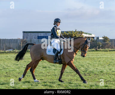 Tweseldown Horse Trials (1) 2019 Foto Stock