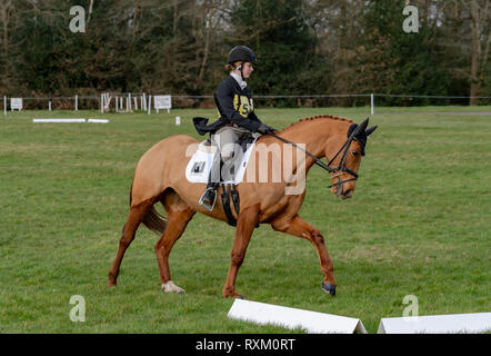 Tweseldown Horse Trials (1) 2019 Foto Stock