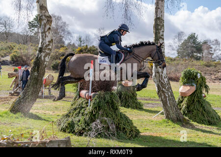 Tweseldown Horse Trials (1) 2019 Foto Stock