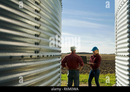 Ragazza con padre usando un computer avanti contenitori del cereale in un cortile, nei pressi di Dugald, Manitoba, Canada Foto Stock