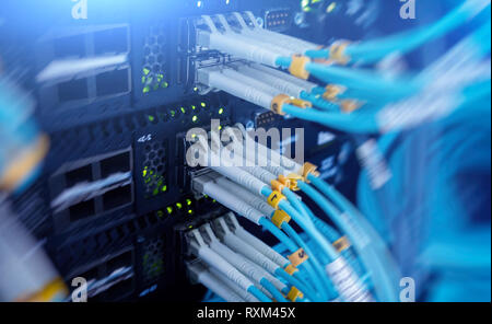 Connettore per fibre ottiche interfaccia. esposizione multipla. Tecnologia di informazioni di rete di computer, telecomunicazioni in fibra ottica Cavi collegati. Foto Stock