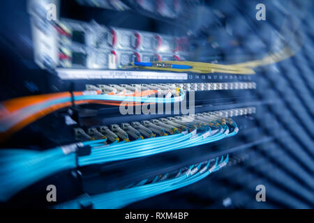 Connettore per fibre ottiche interfaccia. esposizione multipla. Tecnologia di informazioni di rete di computer, telecomunicazioni in fibra ottica Cavi collegati. Foto Stock