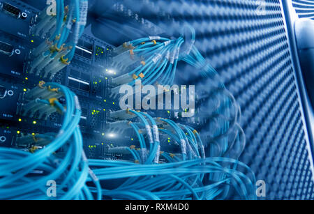 Connettore per fibre ottiche interfaccia. esposizione multipla. Tecnologia di informazioni di rete di computer, telecomunicazioni in fibra ottica Cavi collegati. Foto Stock