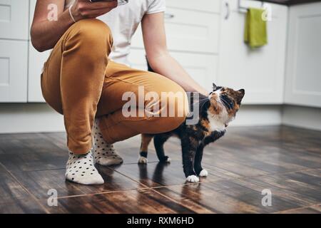 La vita domestica con pet. Cat benvenuto al suo proprietario (giovane) a casa. Foto Stock