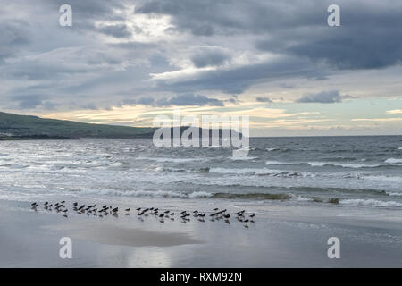 Ayr baia guardando verso sud ai capi di Ayr nella costa ovest della Scozia Foto Stock