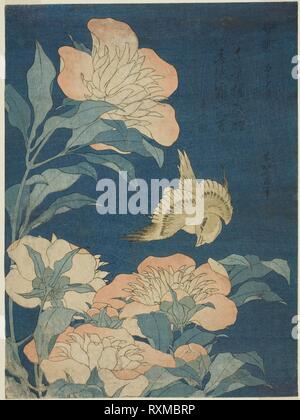 Isole Canarie e peonia (Kanaari, shakuyaku), da un untitled serie di fiori e uccelli. Katsushika Hokusai ?? ??; Giapponese, 1760-1849. Data: 1829-1839. Dimensioni: 10 x 7 1/2 in. Colore stampa woodblock; chuban. Provenienza: Giappone. Museo: Chicago Art Institute. Foto Stock