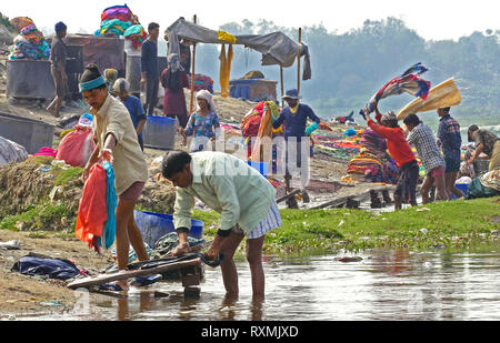 AGRA, India - 16 settembre 2014: la comunità locale non fa servizio lavanderia sulla riva del fiume Yamuna in Agra, India il 16 settembre 2014. Foto Stock