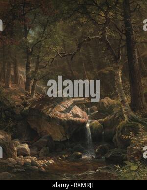 Mountain Brook. Albert Bierstadt; American, nato in Germania, 1830-1902. Data: 1863. Dimensioni: 111.8 × 91,4 cm (44 × 36 in.). Olio su tela. Origine: Stati Uniti. Museo: Chicago Art Institute. Foto Stock