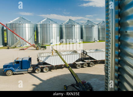 Un super B Granella carrello essendo caricato con orzo dal grano deposito bidoni vicino a St. Jean, Manitoba, Canada Foto Stock