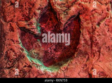 Footprint ornithopod, fossile di un dinosauro via, animali che vivevano nel giurassico Foto Stock