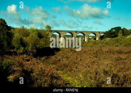 Carnon Riserva Naturale della Valle e Viadcut Foto Stock