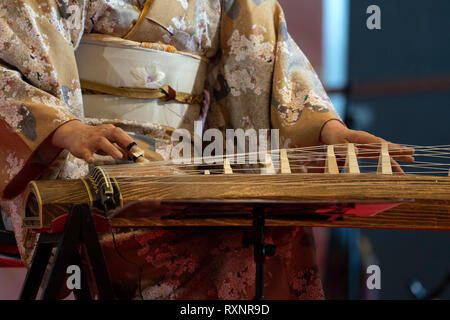 Koto giapponese costume arpa player Foto Stock